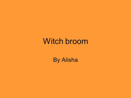 Witch broom By Alisha. Last night when I was trick or treating I stumbled over a broom I didn’t realize it at time, but it was the witch magic broom!