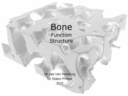 Bone Function Structure Mr Lee Van Rensburg Mr Staton Phillips 2015.