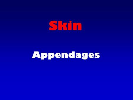 Skin Appendages. Skin Appendages Hair Nails Glands.