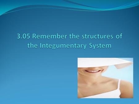 Essential Questions What are the structures of the integumentary system? 3.05 Remember the structures of the integumentary system2.