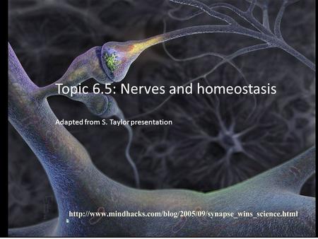 Topic 6.5: Nerves and homeostasis Adapted from S. Taylor presentation.