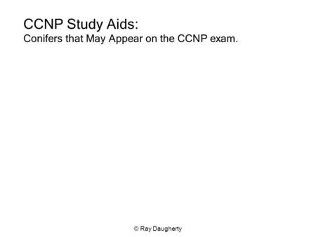 © Ray Daugherty CCNP Study Aids: Conifers that May Appear on the CCNP exam.