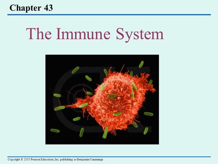 Chapter 43 The Immune System.