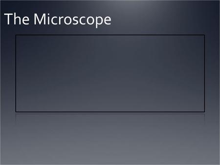 The Microscope. The History Zacharias Jansen 1588-1631 The “First” Microscope The History Video.