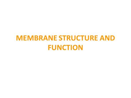 MEMBRANE STRUCTURE AND FUNCTION