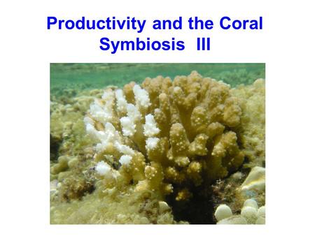 Productivity and the Coral Symbiosis III. Overall productivity of the reef: 4.1 - 14.6 gC/m 2 /d this is organic carbon production must also consider.