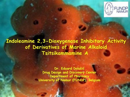 Indoleamine 2,3-Dioxygenase Inhibitory Activity of Derivatives of Marine Alkaloid Tsitsikammamine A Dr. Eduard Dolušić Drug Design and Discovery Center.