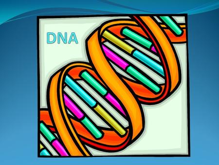 Review What organelle is the “control center” of the cell? The nucleus What structures are found in the nucleus? Chromosomes What structures are located.