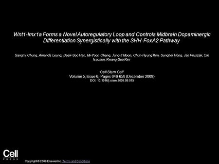 Wnt1-lmx1a Forms a Novel Autoregulatory Loop and Controls Midbrain Dopaminergic Differentiation Synergistically with the SHH-FoxA2 Pathway Sangmi Chung,