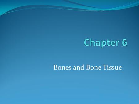 Bones and Bone Tissue. Bone Functions Shape Support Protection Movement Electrolyte balance Blood production Acid-base balance.