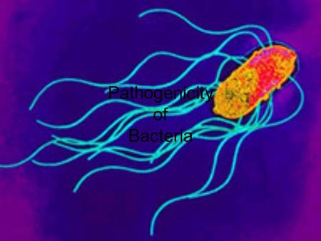 Pathogenicity of Bacteria. Campylobacter spp. Salmonella spp. Escherichia coli 76 Million Cases of Food-borne illness every year in the USA 325,000 result.