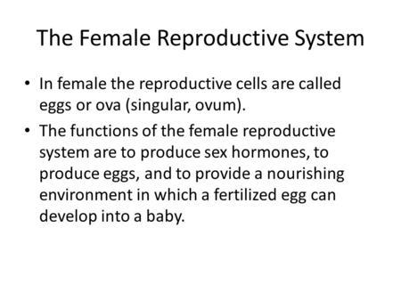 The Female Reproductive System