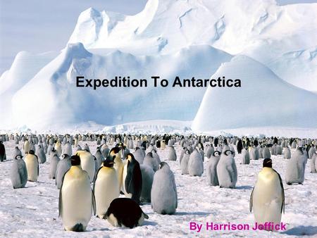 Expedition To Antarctica