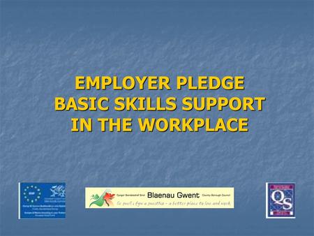 EMPLOYER PLEDGE BASIC SKILLS SUPPORT IN THE WORKPLACE.