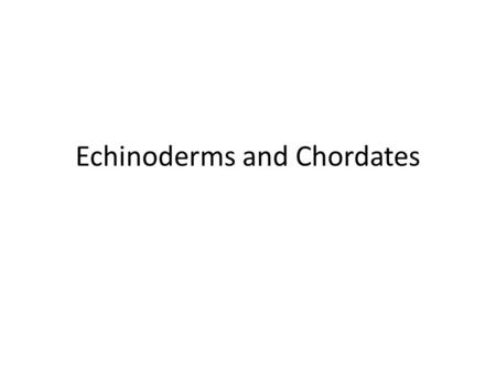 Echinoderms and Chordates  e/zo150/mozley/fall/studyaids.h tml.