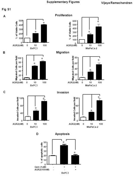 Vijaya Ramachandran Fig S1 D C Supplementary Figures Invasion Apoptosis A Proliferation BxPC3 0 100 200 300 400 500 % of Viable Cells  AGR2(nM) 0 10 100.