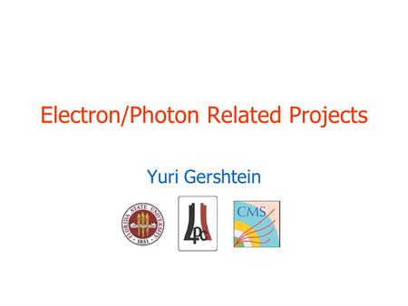 Electron/Photon Related Projects Yuri Gershtein. 2/8/2007Yuri Gershtein FIU CHEPREO Workshop2 Disclaimer / Introduction PRS EGamma split into DPG and.