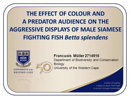 Francuois Müller 2714916 Department of Biodiversity and Conservation Biology University of the Western Cape.