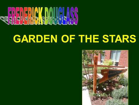 GARDEN OF THE STARS. SUMMER 2012 NOTHING?BUT… POSSIBILITIES OPPORTUNITY GREAT IDEAS INITIATIVE.