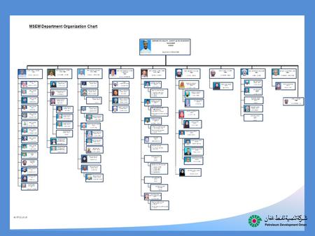 MSEM Department Organization Chart