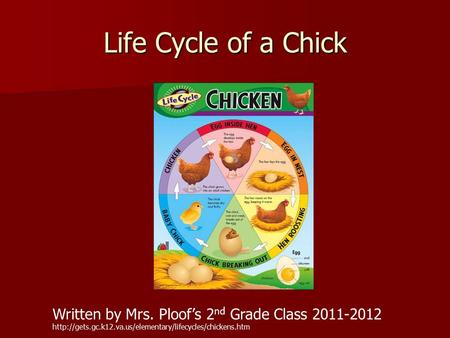 Life Cycle of a Chick Written by Mrs. Ploof’s 2nd Grade Class 2011-2012 http://gets.gc.k12.va.us/elementary/lifecycles/chickens.htm.