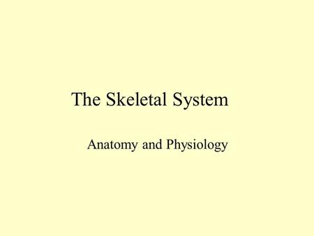 The Skeletal System Anatomy and Physiology Bone A connective tissue Contains bone tissue, cartilage, fibrous connective tissue, blood, and nervous tissue.