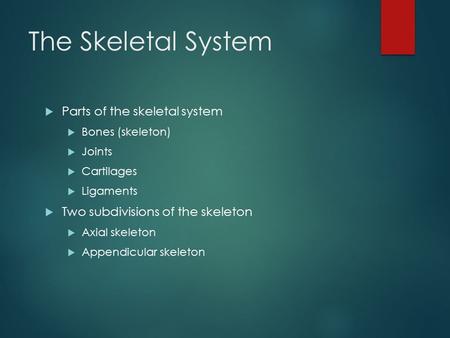 The Skeletal System  Parts of the skeletal system  Bones (skeleton)  Joints  Cartilages  Ligaments  Two subdivisions of the skeleton  Axial skeleton.