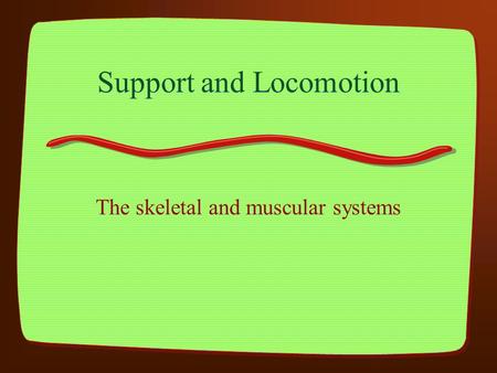 Support and Locomotion The skeletal and muscular systems.