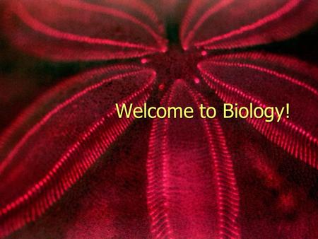 Welcome to Biology!.