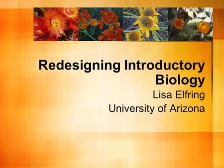 Redesigning Introductory Biology Lisa Elfring University of Arizona.