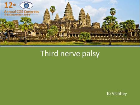 Third nerve palsy To Vichhey. Outline Review anatomy Introduction Physiopathology Symptom and sign Etiology Differential diagnosis Work up Treatment.