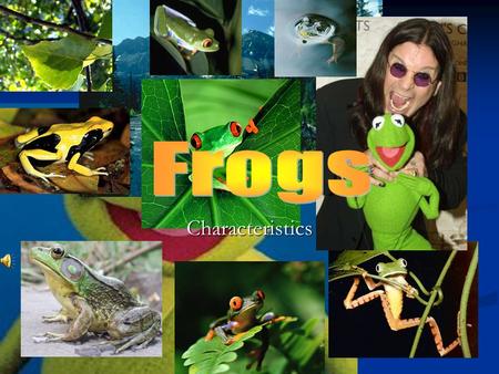 Frogs Characteristics.