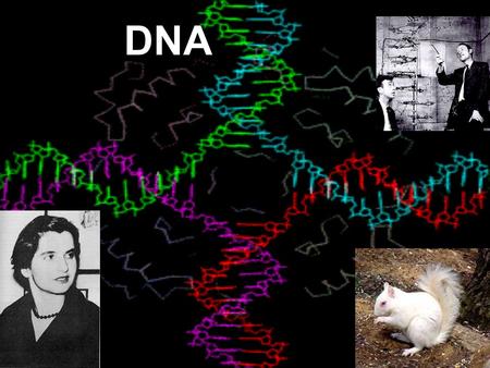 DNA. Warm up: 1.Where is DNA located in your cells? Itinerary: 1.DNA notes with notes sheet 2. Brain pop video – DNA 3. Exit slip – pay attention – will.