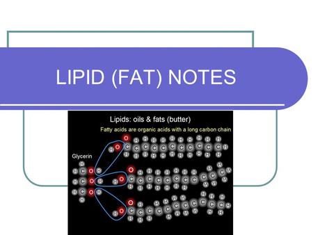 LIPID (FAT) NOTES.