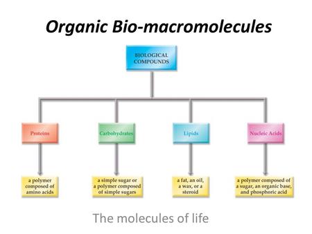 Organic Bio-macromolecules The molecules of life.