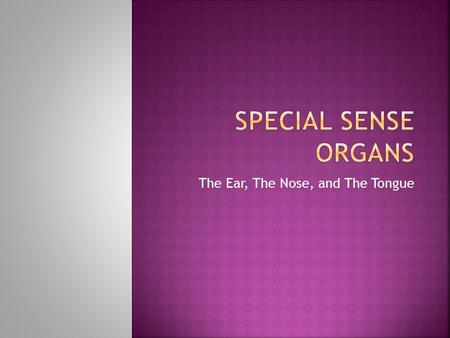 The Ear, The Nose, and The Tongue.  Has external, middle, and inner ear  Functions to help hear and keep our balance and equilibrium  Receptors are.