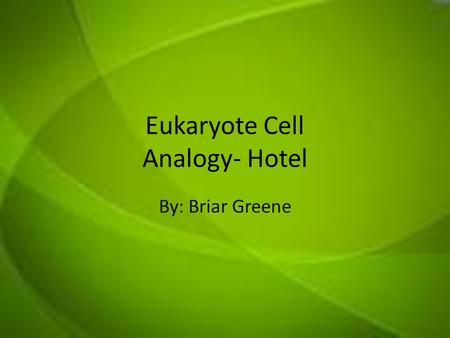 Eukaryote Cell Analogy- Hotel