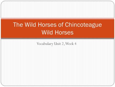 Vocabulary Unit 2, Week 4 The Wild Horses of Chincoteague Wild Horses.