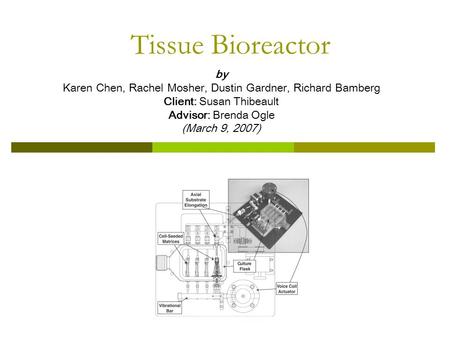 Tissue Bioreactor by Karen Chen, Rachel Mosher, Dustin Gardner, Richard Bamberg Client: Susan Thibeault Advisor: Brenda Ogle (March 9, 2007)