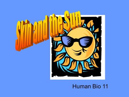 Human Bio 11. *Ultraviolet radiation has three different wave lengths – UV-A, UV-B, and UV-C. UV-Astarts the tanning process before the skin burns and.