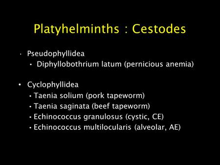 Platyhelminths : Cestodes