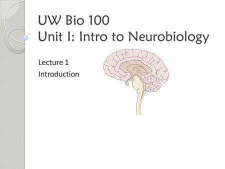 UW Bio 100 Unit I: Intro to Neurobiology Lecture 1 Introduction.