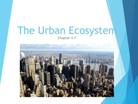 The Urban Ecosystem Chapter 4.7. Cities  Cities cause a lot of air and water pollution  Air pollutions comes from car exhaust, burning fuels, and gases.