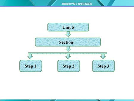 Unit 5 Step 1 Section Ⅰ Step 2Step 3.