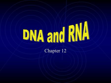 Chapter 12 Remember! Chargaff’s rules The relative amounts of adenine and thymine are the same in DNA The relative amounts of cytosine and guanine are.