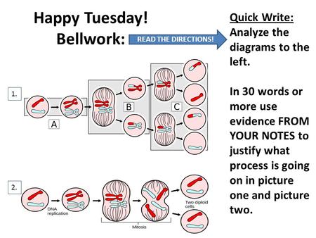 Happy Tuesday! Bellwork: 2. 1. READ THE DIRECTIONS! Quick Write: Analyze the diagrams to the left. In 30 words or more use evidence FROM YOUR NOTES to.