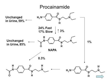 Procainamide Unchanged in Urine, 59% 3% 24% Fast 17% Slow Unchanged in Urine, 85% NAPA 0.3% 1%