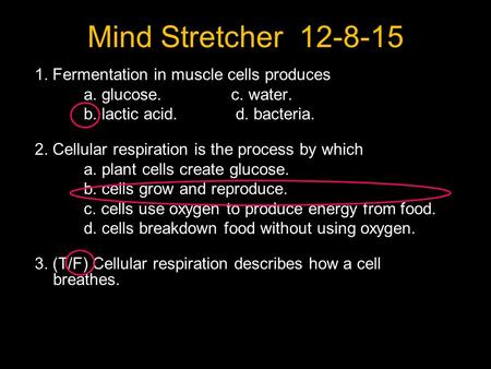 Mind Stretcher 12-8-15 1. Fermentation in muscle cells produces a. glucose.c. water. b. lactic acid. d. bacteria. 2. Cellular respiration is the process.