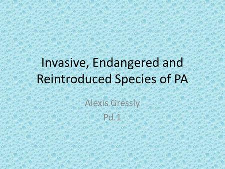 Invasive, Endangered and Reintroduced Species of PA Alexis Gressly Pd.1.