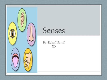 Senses By: Rahaf Nassif 7D. Touch Nerve endings in the skin send massages to the brain that tell us about what we are touching, such as whether if it’s.